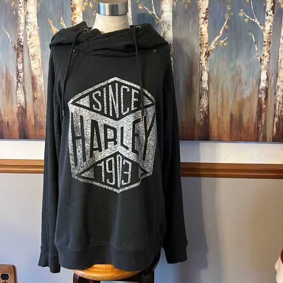 Harley-Davidson Double Hooded Sweatshirt - Picture 3 of 14